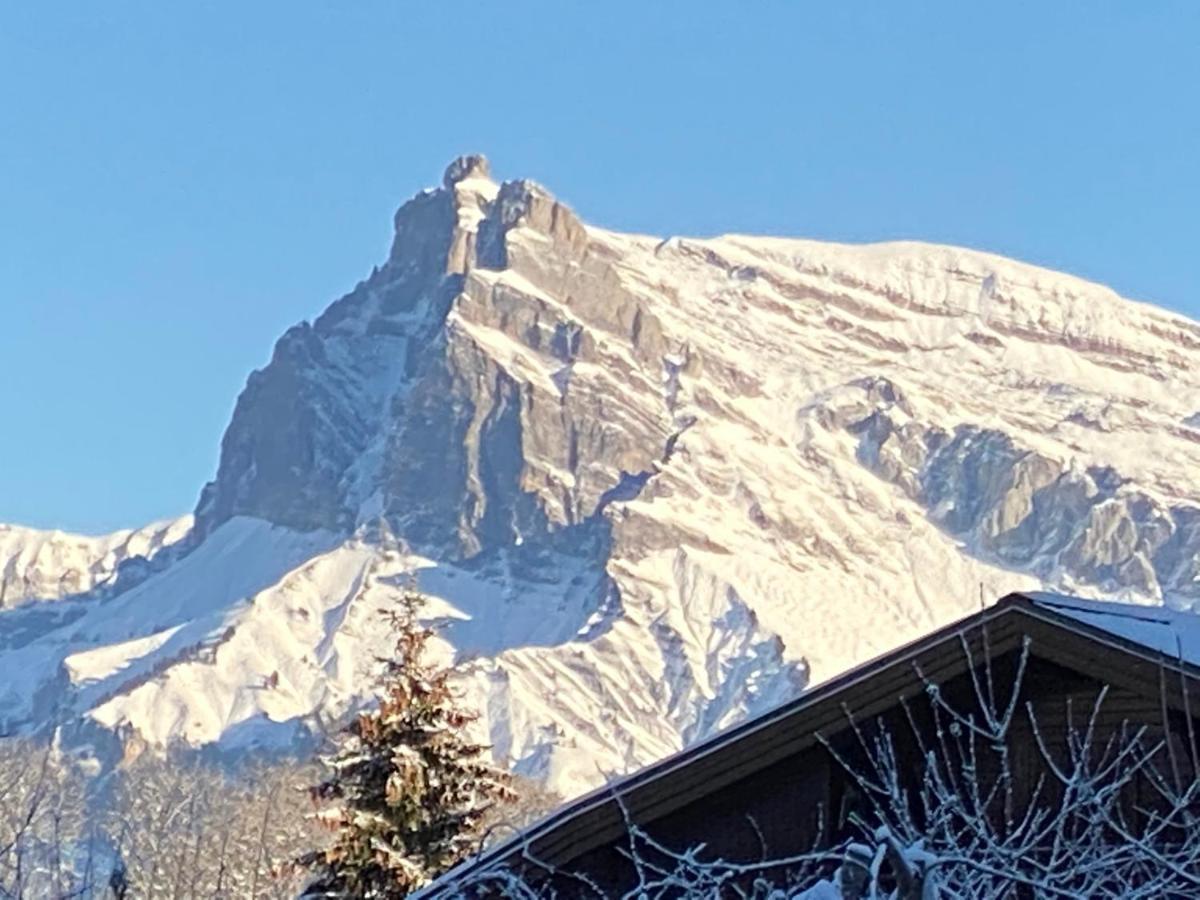Chalet Megeve, Ideal Familles Proche Ski Et Centre Village Экстерьер фото